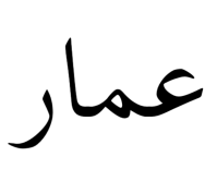 Muhammad Ammar